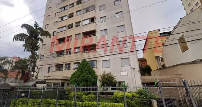 Apartamento de 53m² com 2 quartos em Vila Albertina