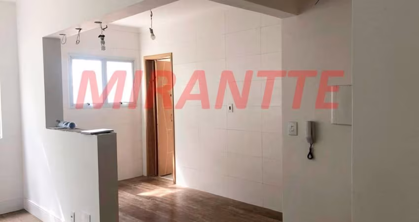 Apartamento de 54m² com 2 quartos em Tucuruvi