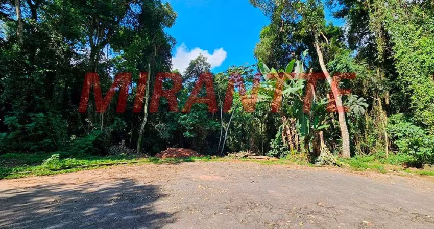 Terreno em Caraguata