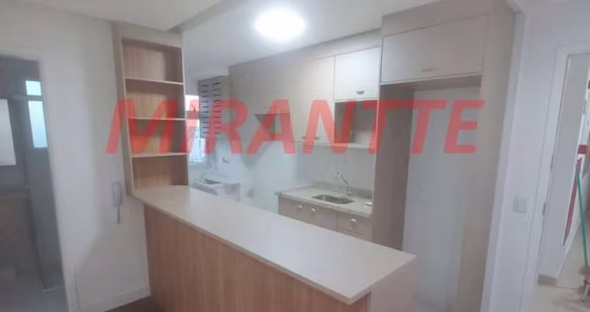 Apartamento de 39m² com 1 quartos em Parada Inglesa