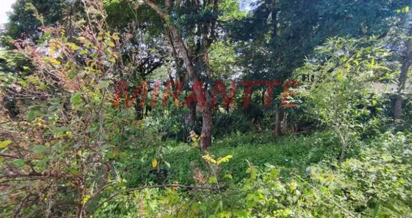 Terreno à venda na Rua Coronel Agostinho da Fonseca, Horto Florestal, São Paulo