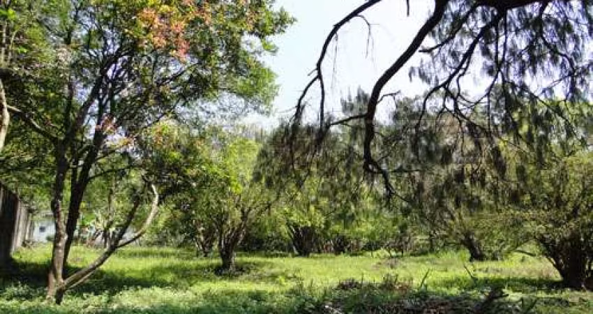Terreno em Horto Florestal