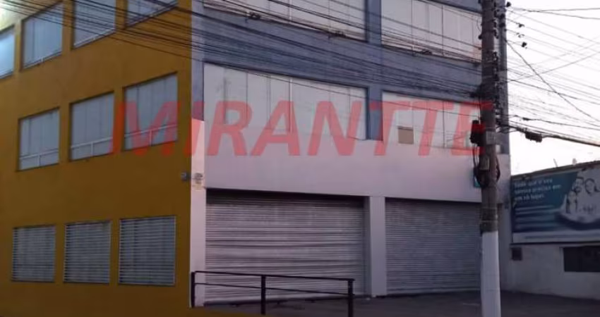 Comercial em Vila Brasilandia