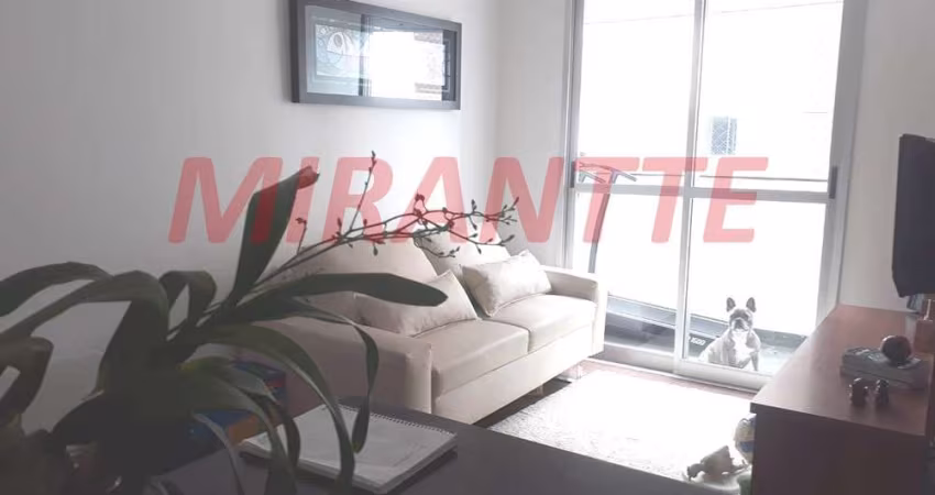 Apartamento de 70m² com 3 quartos em Pirituba