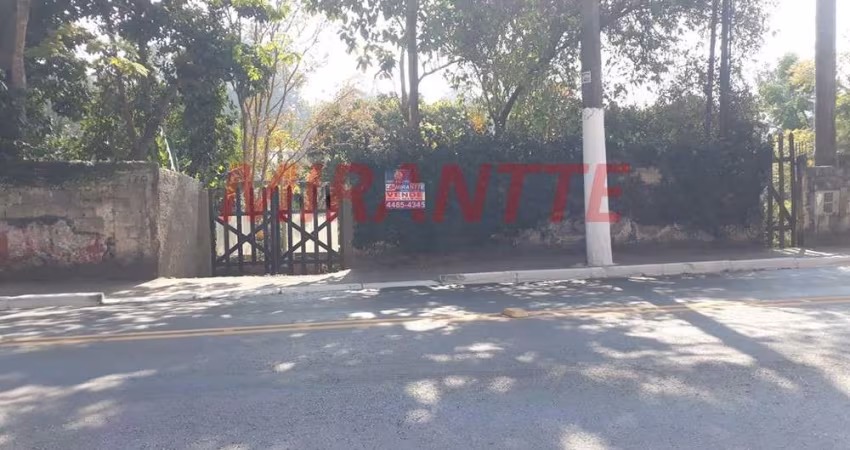 Terreno em Horto Florestal