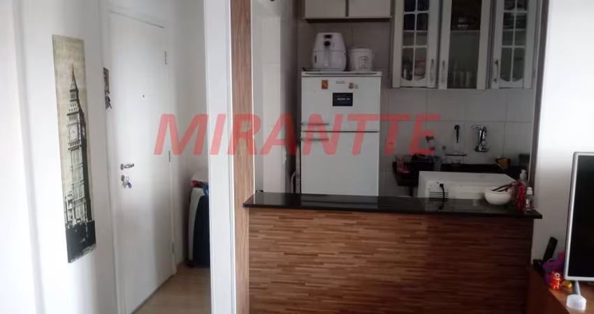 Apartamento de 51m² com 2 quartos em Imirim
