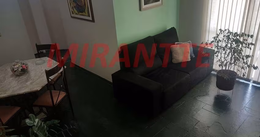 Apartamento de 70m² com 3 quartos em Santa Terezinha