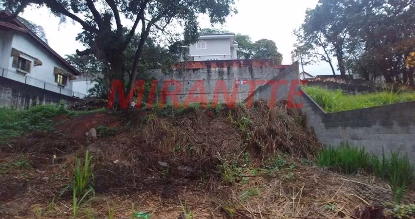 Terreno em Horto Florestal