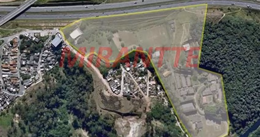 Terreno de 6950m² em Pimentas