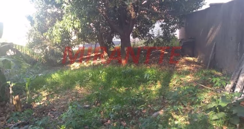 Terreno de 146m² em Freguesia do