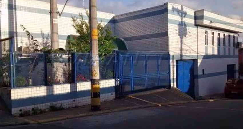 Galpao em Vila Carmosina