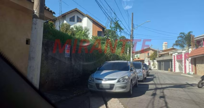 Terreno em Jardim Consolata