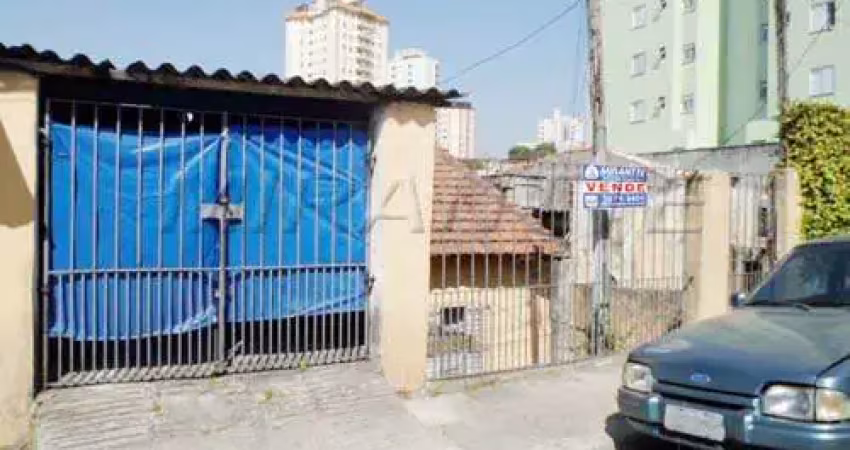 Terreno à venda na Rua Capitão Francisco Lipi, Parada Inglesa, São Paulo