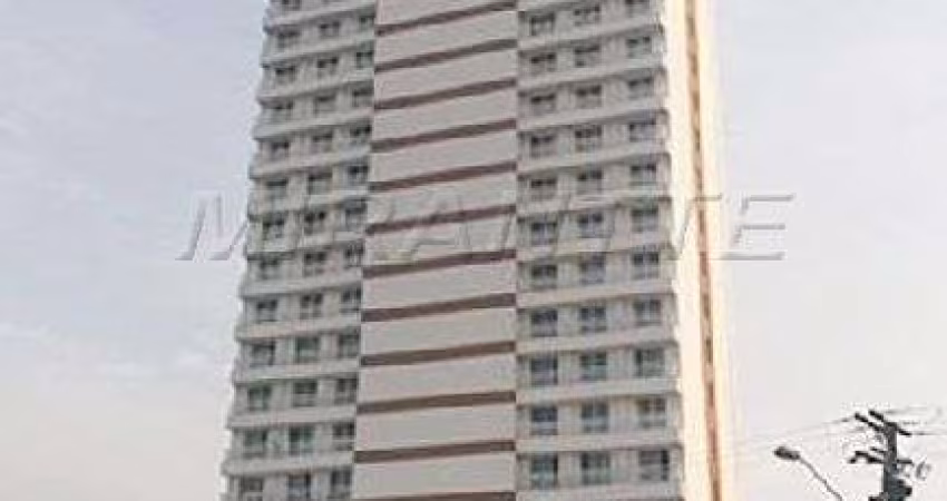 Comercial de 33m² em Limão