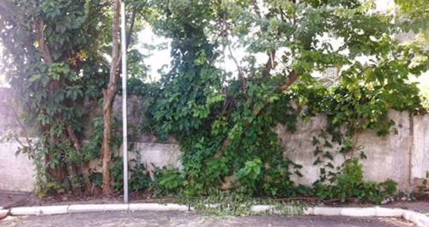 Terreno em Mandaqui