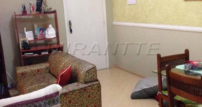 Apartamento de 63m² com 2 quartos em Vila Mazzei