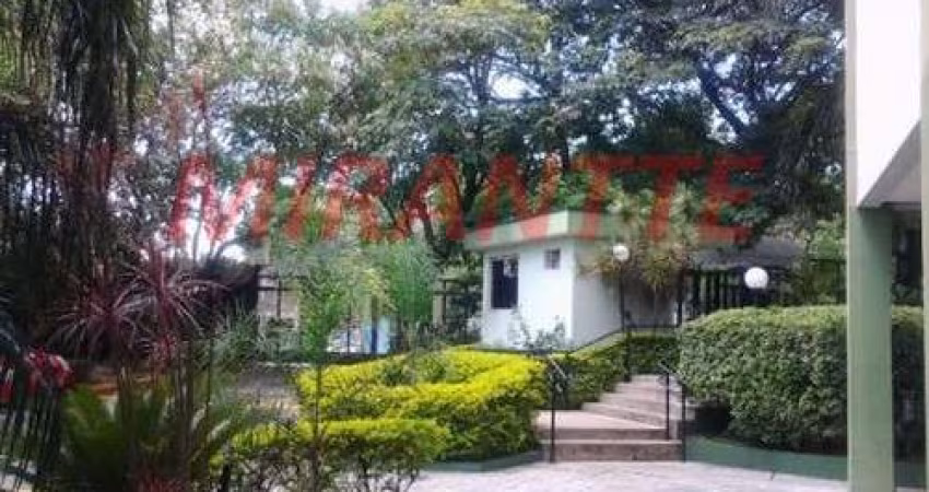 Apartamento de 48m² com 2 quartos em Lauzane Paulista