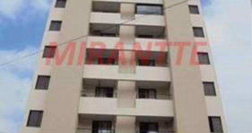 Apartamento de 54m² com 2 quartos em Pirituba