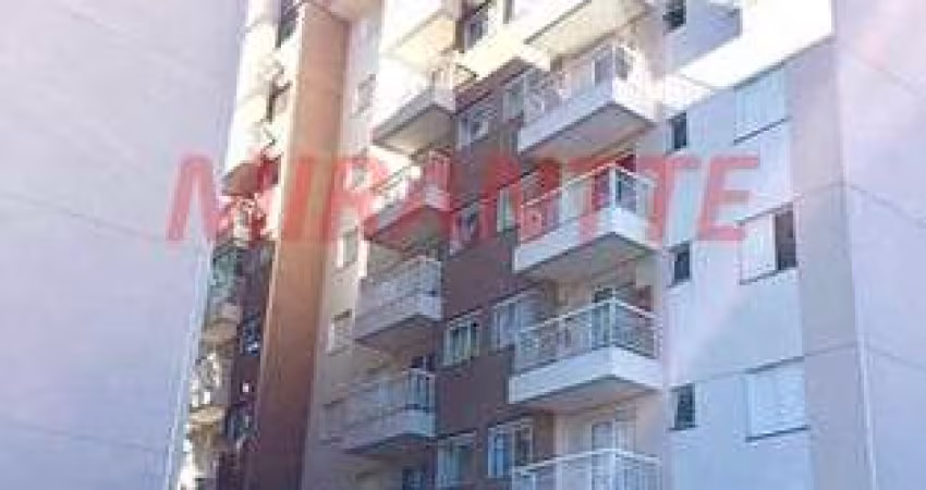 Apartamento de 48m² com 2 quartos em Vila Amalia