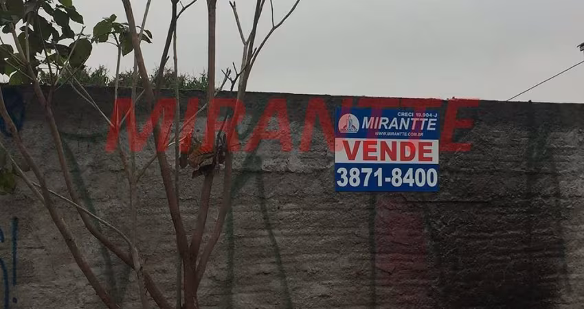 Terreno em Limão