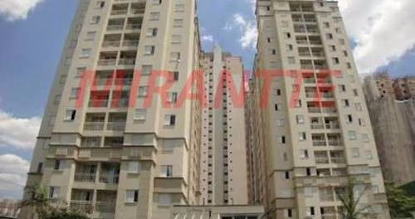 Apartamento de 50m² com 2 quartos em Limão