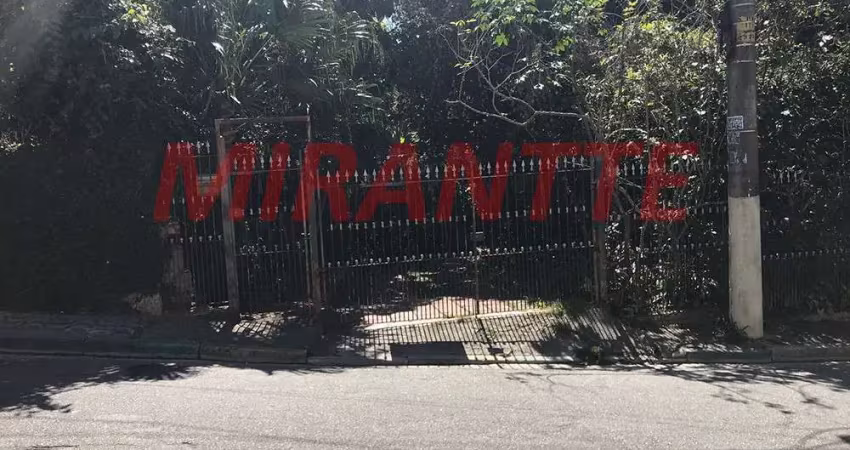 Terreno de 80m² em Vila Gustavo