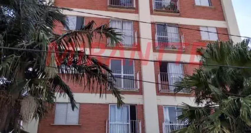 Apartamento de 50m² com 2 quartos em jardim aricanduva