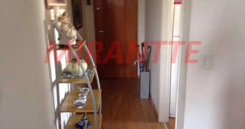 Apartamento com 2 quartos à venda na Rua Diogo Vaz, Cambuci, São Paulo