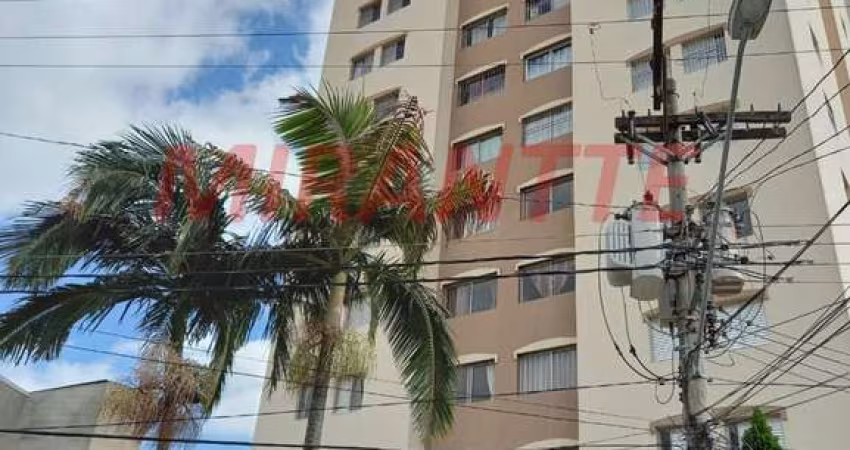 Apartamento de 72m² com 3 quartos em Jardim Paraiso