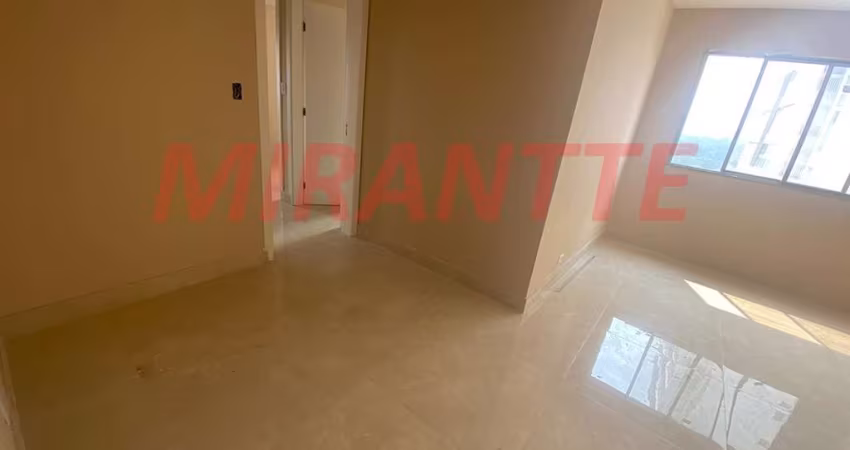 Apartamento de 72m² com 3 quartos em Jardim Paraiso
