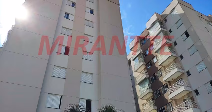 Apartamento de 55m² com 3 quartos em Vila Amalia