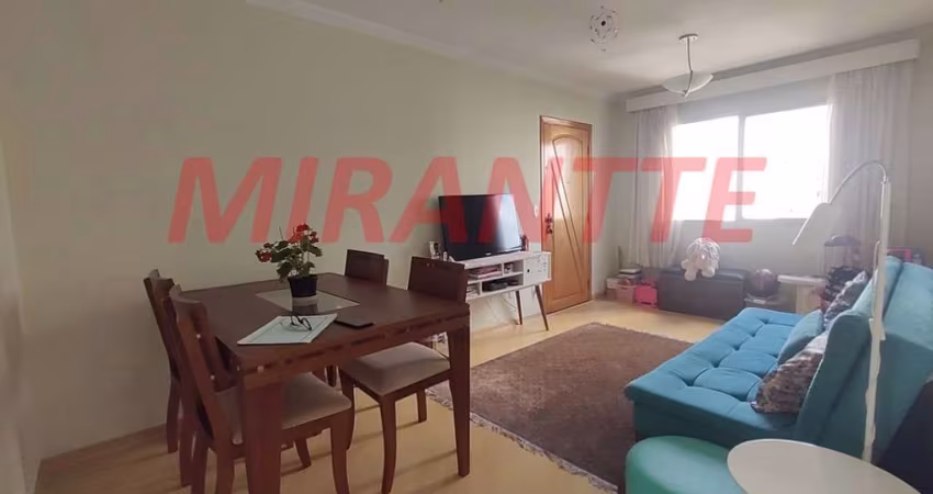 Apartamento de 50m² com 2 quartos em Santa Terezinha