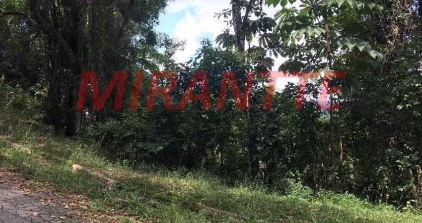 Terreno de 1.297m² em Serra da Cantareira