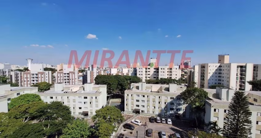 Apartamento de 71m² com 2 quartos em Vila Amelia