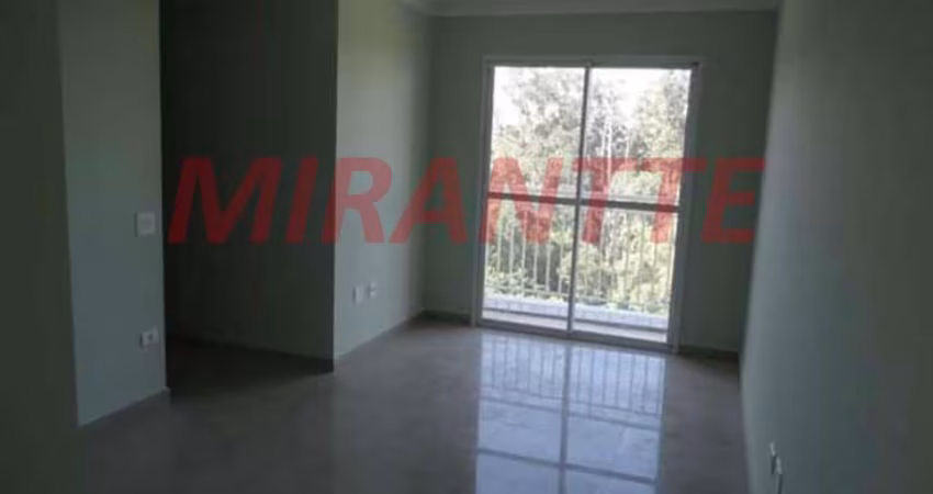 Apartamento de 60m² com 3 quartos em Horto Florestal