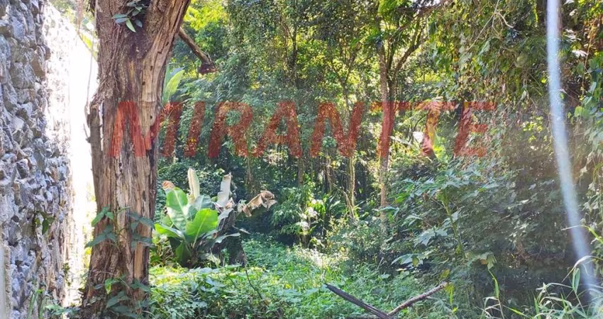 Terreno em Chácaras Copaco