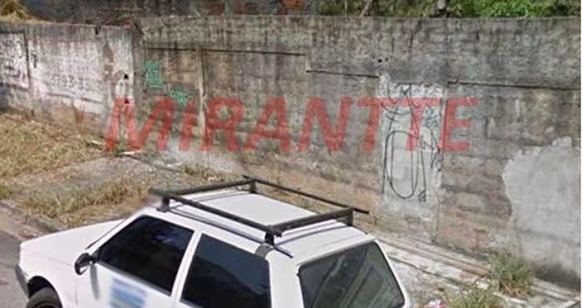 Terreno em Vila Suzana