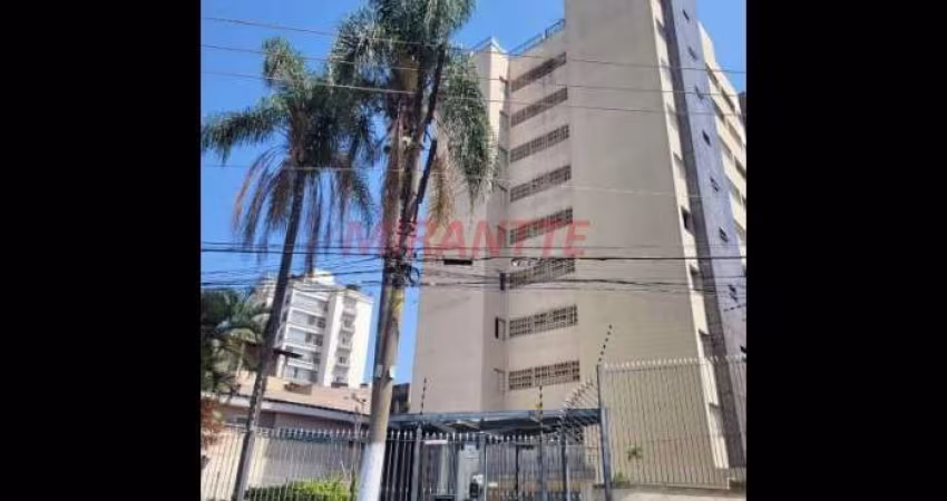 Apartamento de 72m² com 3 quartos em Jardim São Paulo(Zona Norte)