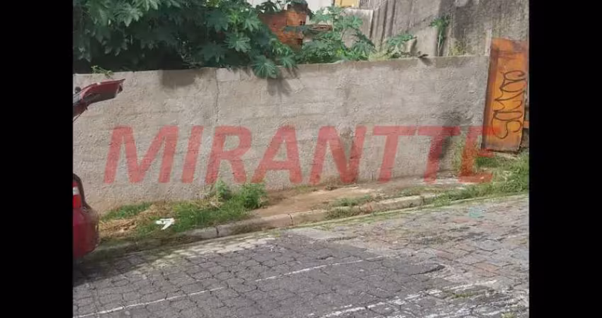 Terreno em Vila Celeste