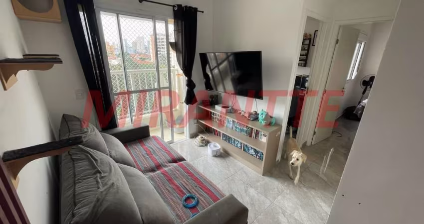 Apartamento de 43m² com 2 quartos em Vila Guaca