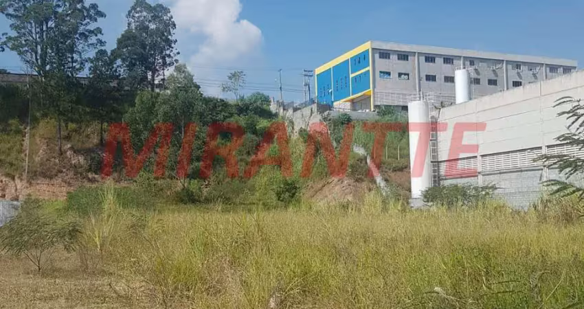 Terreno à venda na Avenida David Kasitzky, Vila Rosina, Caieiras