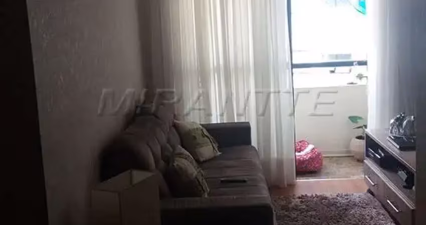 Apartamento de 70m² com 3 quartos em Vila Galvão