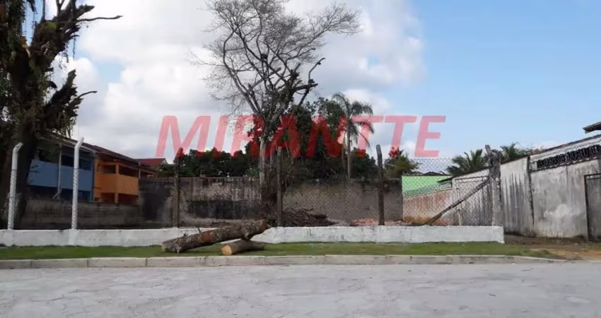 Terreno à venda na Rua Doutor Walter Raucci, Massaguaçu, Caraguatatuba