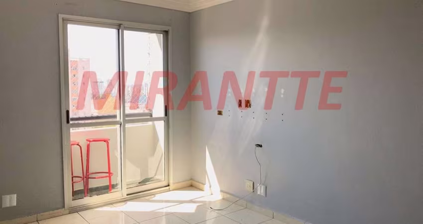 Apartamento de 66m² com 2 quartos em Vila Moreira