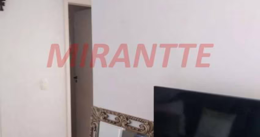 Apartamento de 60m² com 2 quartos em Vila Rosália