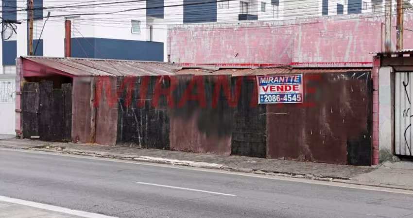 Terreno em Vila Leonor