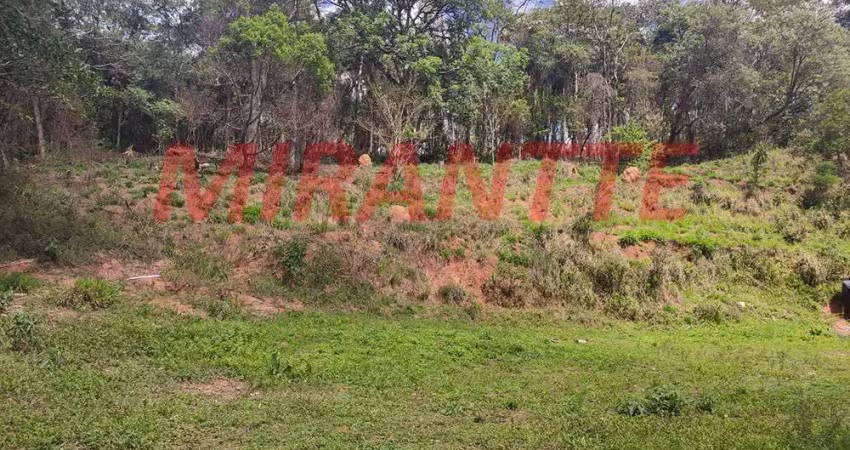 Terreno em Terra Preta