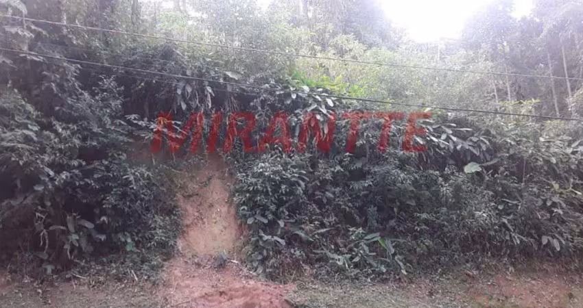Terreno em condomínio fechado à venda na Rua Tupã, Santa Inês, Caieiras