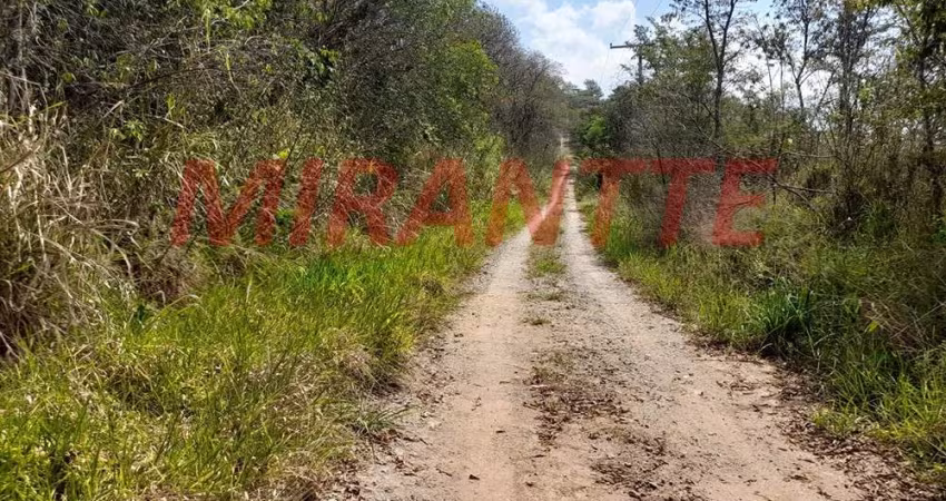 Terreno em Serra da Cantareira