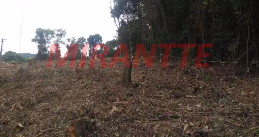 Terreno à venda na Avenida Vereador Belarmino Pereira de Carvalh, Serra da Cantareira, São Paulo
